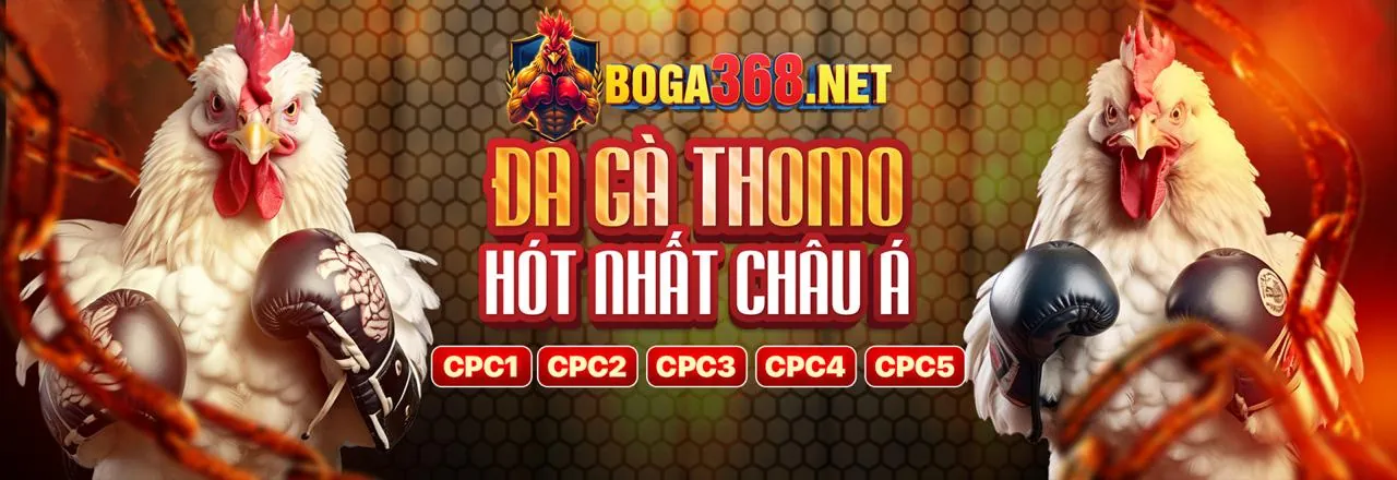 Tổng quan về dịch vụ hỗ trợ khách hàng vinvip