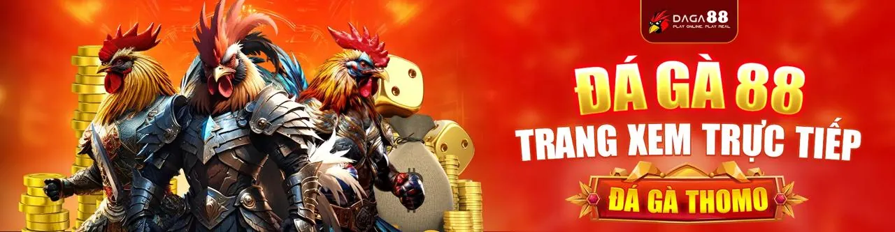 Đá Gà Trực Tuyến VinVip
