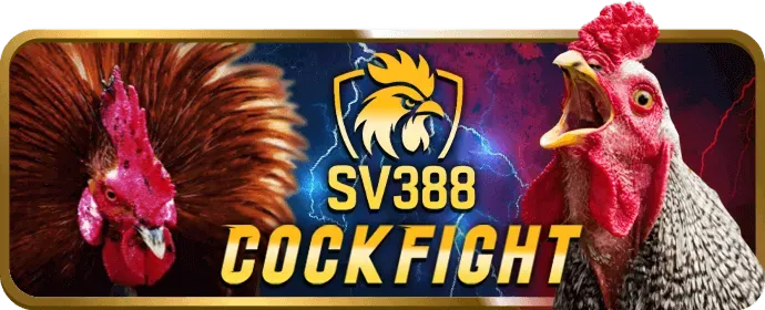 Hoàn trả cược thể thao vinvip
